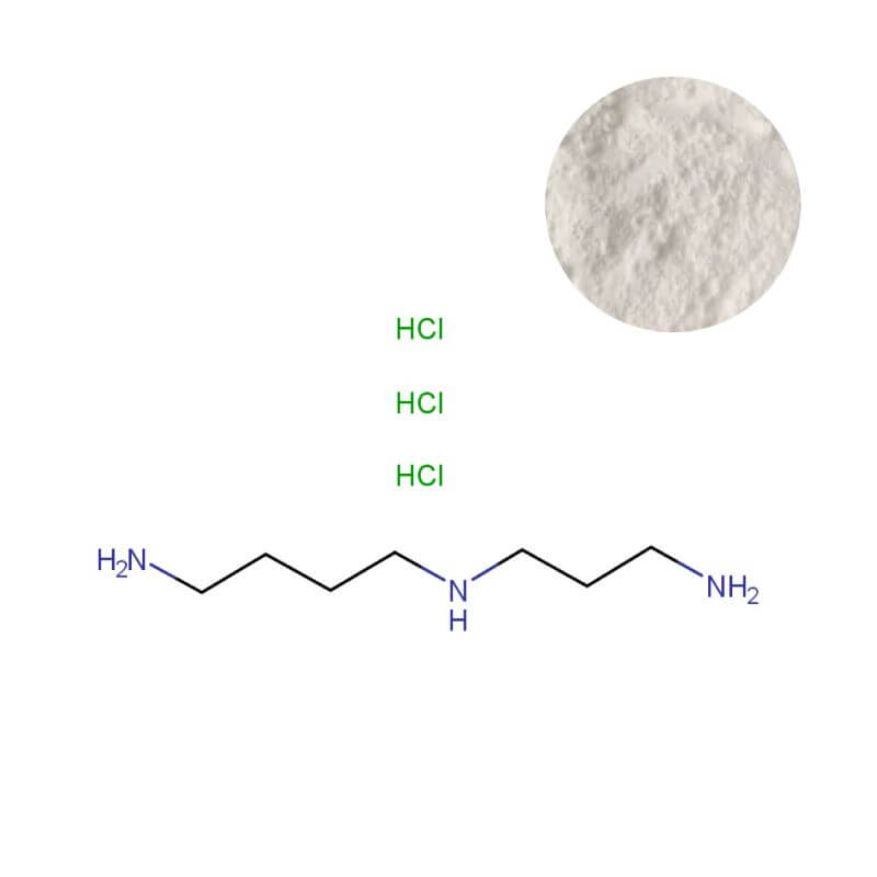 Spermidine Trihydrochloride Powder (≥99% Purity, CAS 334-50-9) with Molecular Structure Diagram | Bulk Supplier