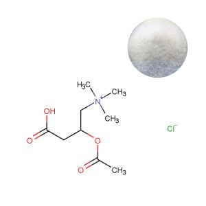 Bulk Acetyl L-Carnitine (ALCAR) Powder - GMP Supplier