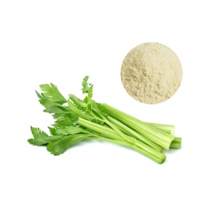 Apigenin celery-based supplement (thumbnail)