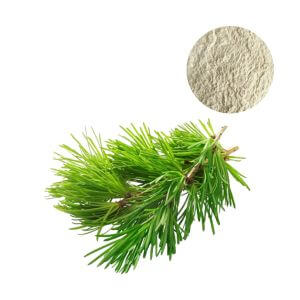 Thumbnail of spec-verified arabinogalactan powder, supplied by Oclean Nutra B2B.