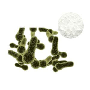 High-Potency Bacillus coagulans Probiotic Ingredient