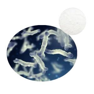 Bifidobacterium Bifidum Probiotic Powder