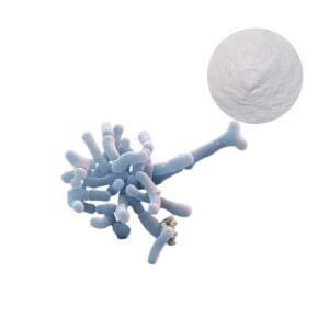 Bifidobacterium Lactis powder and strain