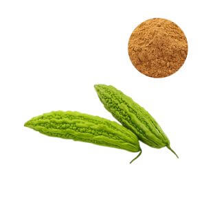 High-purity bitter melon extract powder for bulk supply and nutraceutical manufacturing.