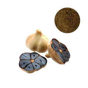 Close-up of premium bulk Black Garlic Extract Powder standardized for high bioavailability
