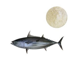 Hydrolyzed marine elastin peptide powder for nutricosmetic formulation