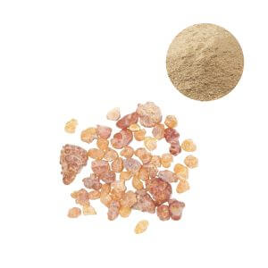 65% Boswellic Acids powder, premium botanical ingredient supplied by Oclean Nutra