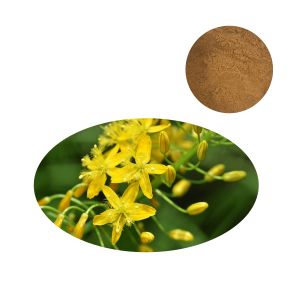 Close-up of Bulbine Natalensis Extract Powder