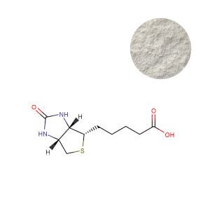 Bulk Biotin powder for supplement manufacturing