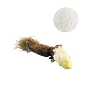 Wholesale Inulin Powder 90% Purity - Oclean Nutra