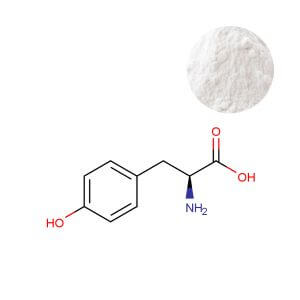 Wholesale bulk L-Tyrosine powder supplier for cognitive health product development