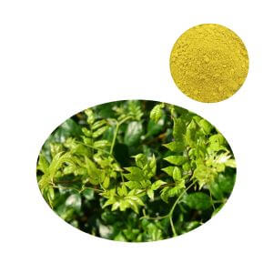 Thumbnail of High-Purity Myricetin Powder (Vine Tea Extract) for bulk wholesale.