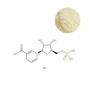 Premium bulk NMNH powder specification verification thumbnail for ingredient procurement