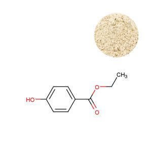 Bulk Catalase Powder (100,000 U/g) for supplement formulations.
