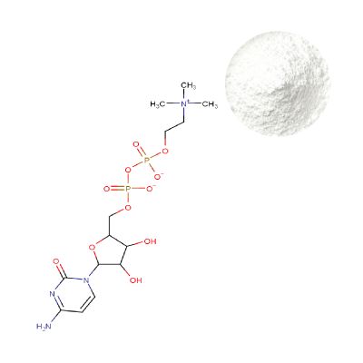 Citicoline Supplier - Powder Overview