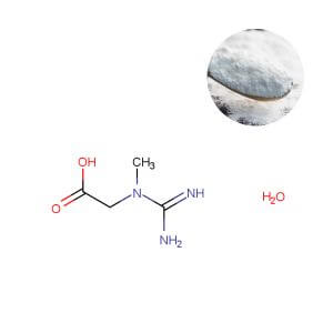 Bulk Creatine Monohydrate Powder 200 Mesh wholesale from Oclean Nutra.