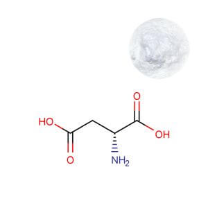 Bulk D-Aspartic Acid (D-AA) raw material powder - Oclean Nutra.