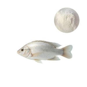 Wholesale fish collagen peptide powder snippet showing clean tilapia raw material origin.