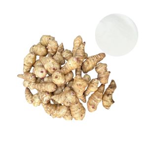 FOS (Fructo-oligosaccharides) prebiotic fiber thumbnail