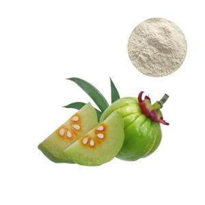 Premium Garcinia Cambogia extract powder thumbnail for commercial dietary supplement production.