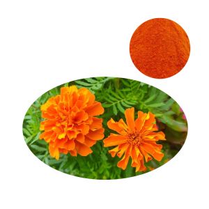 Close-up of orange-red zeaxanthin powder ingredient with HPLC-verified purity for B2B supply