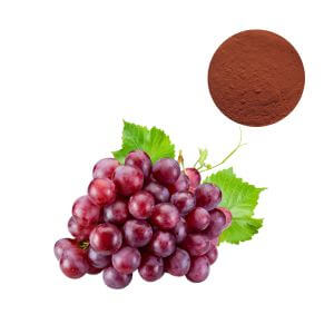 Premium 95% OPC Grape Seed Extract for cardiovascular supplements
