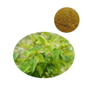 Standardized Gymnema Sylvestre extract powder for capsule and tablet manufacturing