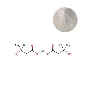 Bulk HMB Calcium powder wholesale supply for sports nutrition supplements.