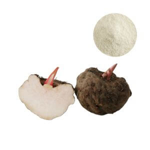Wholesale konjac phytoceramides 1% to 10% purity powder for nutricosmetic capsule formulation