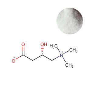 Pure L-Carnitine Base Powder - GMP Certified Bulk Ingredient