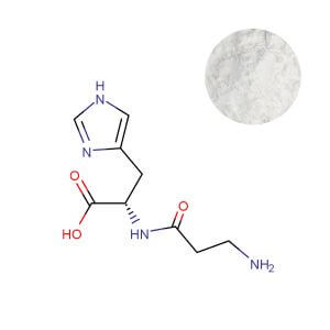 Thumbnail of 100-mesh L-Carnosine powder for nutricosmetic ingredient sourcing.
