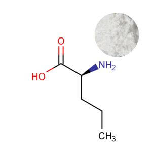Bulk L-Norvaline powder wholesale supplier - standardized crystalline ingredient.