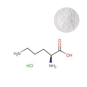 Bulk L-Ornithine HCl powder supplier - Oclean Nutra.