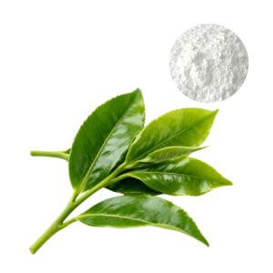 L-Theanine Powder Sample