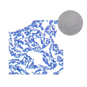 Lactobacillus gasseri Probiotic Powder