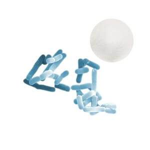 L. reuteri Probiotic Powder - B2B Ingredient