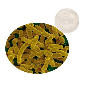 Lactobacillus Salivarius Probiotic Powder