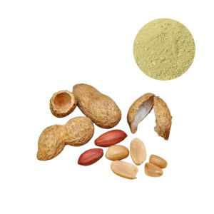 Wholesale 98% Luteolin Powder from Peanut Shell - Oclean Nutra.