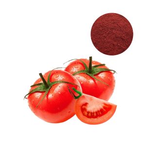 Thumbnail: Lycopene Powder Tomato Extract