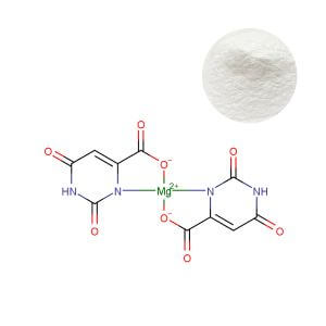 High-purity magnesium orotate dihydrate powder supply for dietary supplement manufacturing