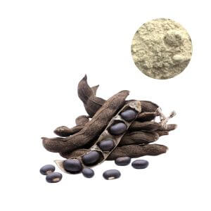 Wholesale Mucuna Pruriens extract powder (15%-98% L-Dopa) in bulk for supplement formulation.