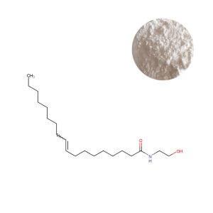Bulk OEA Powder (Oleoylethanolamide) for Supplement Manufacturing