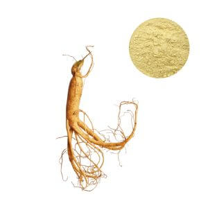 Panax Ginseng Extract Powder - Herbal Ingredient for Supplements