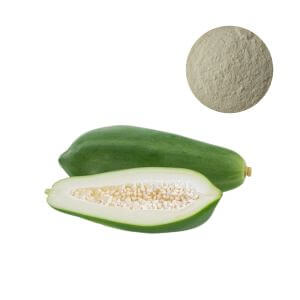 Certified papain powder supplier offering high-activity enzyme for digestive health supplements