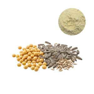 Phosphatidylserine supplier providing standardized 20% to 70% PS powder for nootropic formulas