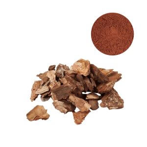 Standardized Pine Bark Extract Powder 95% OPCs for high-potency supplement formulation