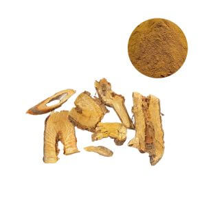 Polygonum Cuspidatum Extract Powder , 50% resveratrol standardized by HPLC – premium botanical extract for dietary supplements.