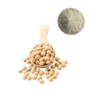 High-purity phosphatidylserine PS powder sourced from non-GMO soy lecithin.