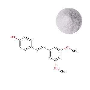 Bulk Pterostilbene 98% Powder from Certified Supplier for Dietary Supplement Manufacturing