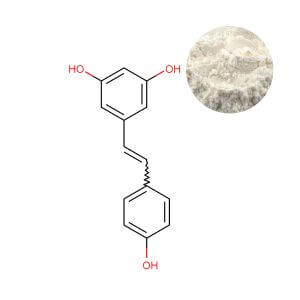 Resveratrol powder 98% for bulk supply, white to off-white fine powder